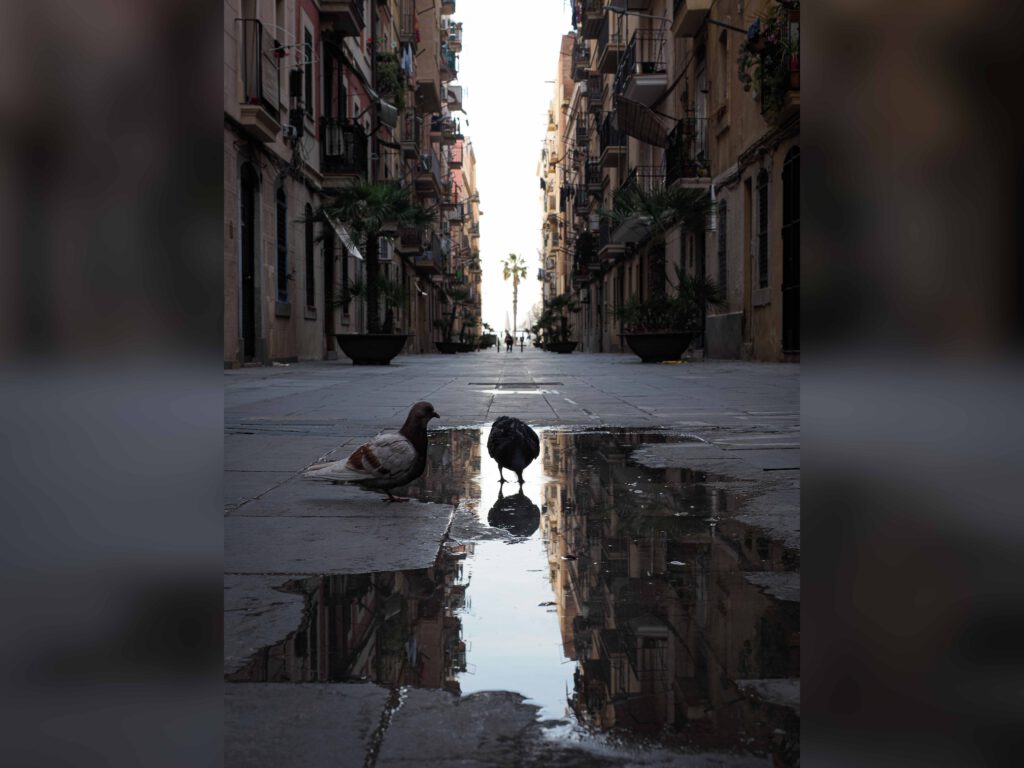 Barcelona
